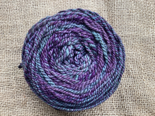 Handspun merino/ corriedale blend 8 ply yarn 100 g. Lizard